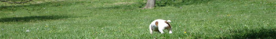 WilfridWong.com header image 2